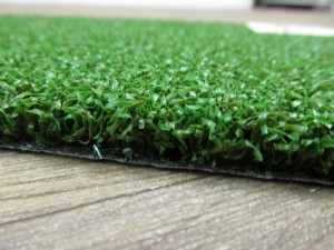 Artificial Grass